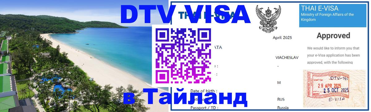 Оформление DTV визы под ключ: стоимость и тарифы, только загранпаспорт - Киев 